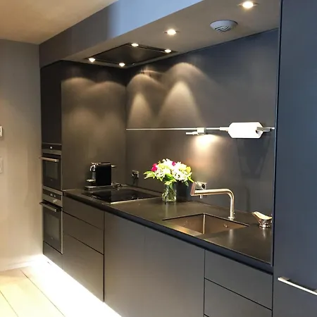 Apartment Bellevue