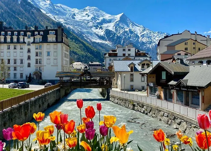 Appartement Bellevue